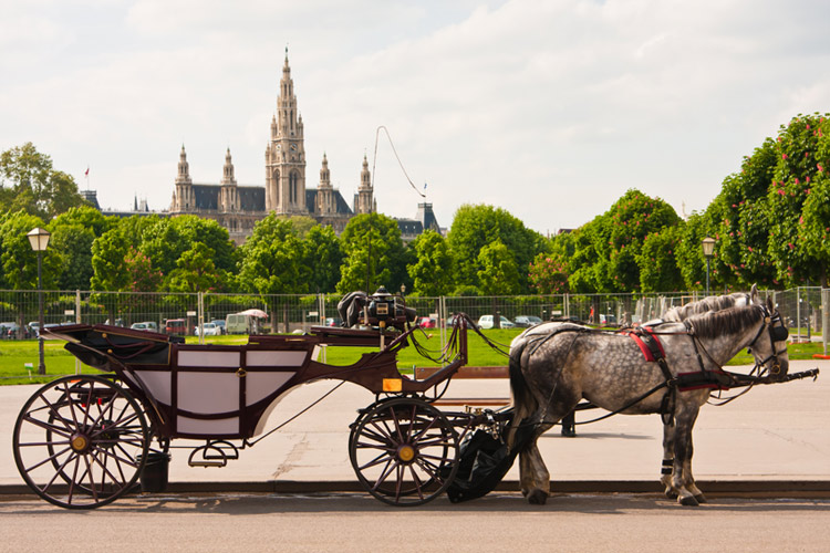 Vienna hose carriage